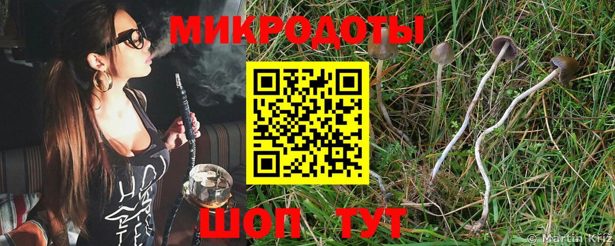 Ейск  Галлюциногенные грибы GOLDEN TEACHER  Вход с VPN 